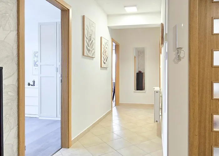 Rooftop Serenity